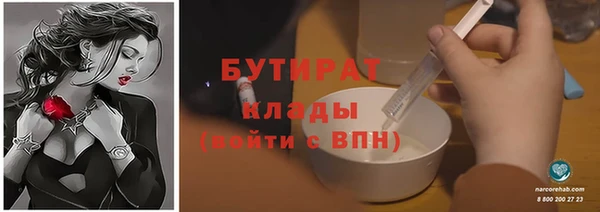 трава Няндома