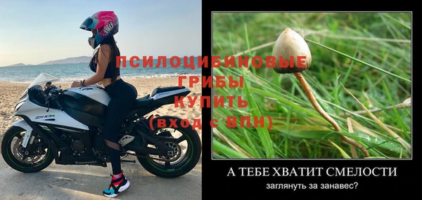дживик Волосово